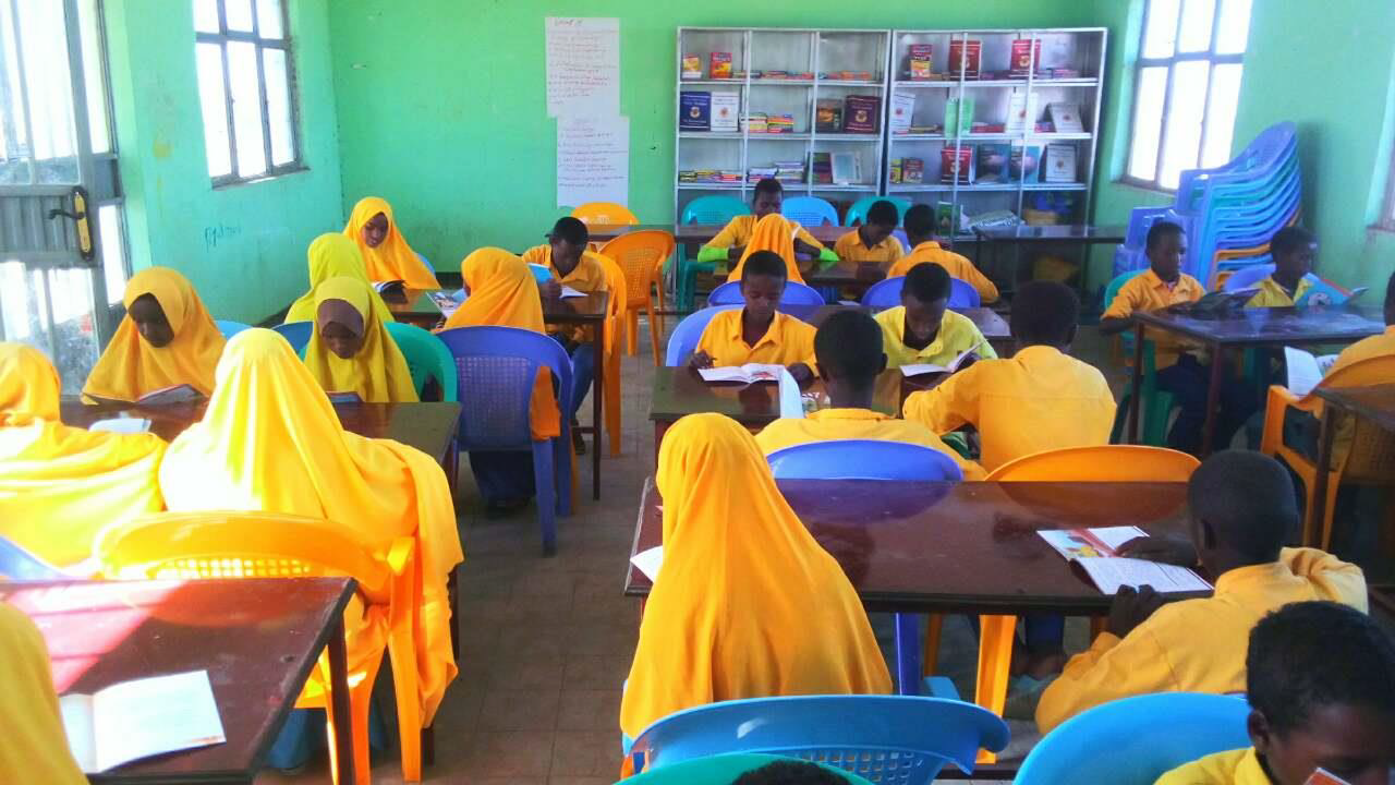 Health outreach and services